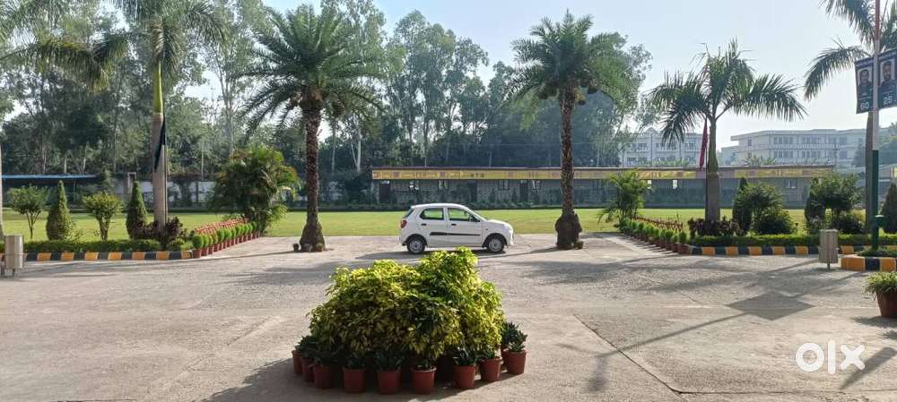 2024 Reg. Alto K10 Petrol  20,000 Km  First Owner