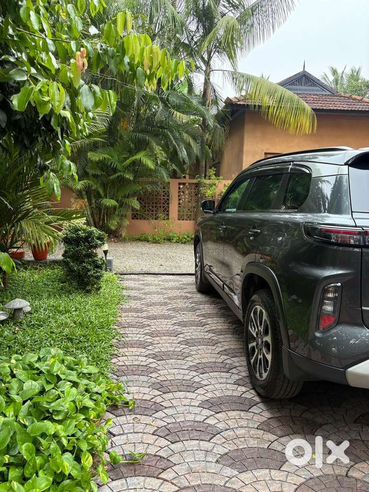 2023 June Grand Vitara Alpha Smart Hybrid(full Option)