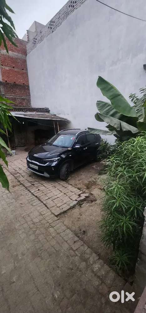 Kia Sonet 2024 Petrol Well Maintained
