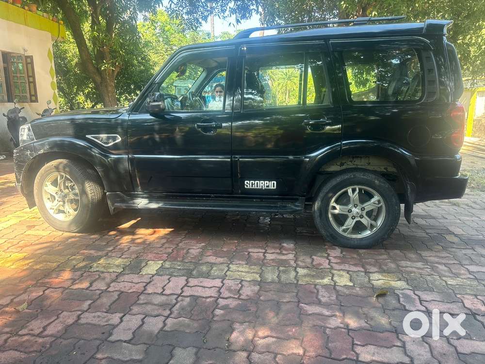 Genuine Byre Plz Contact