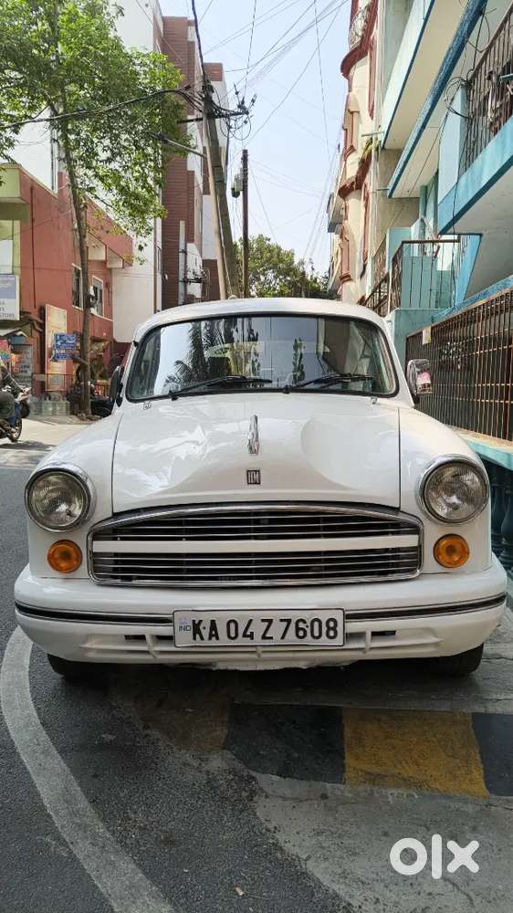 Ambassador Nova