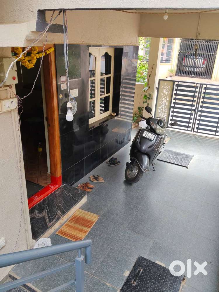 Individual house