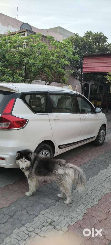 Maruti Suzuki Ertiga 2022-2023 Vxi Cng, 2022, Cng & Hybrids