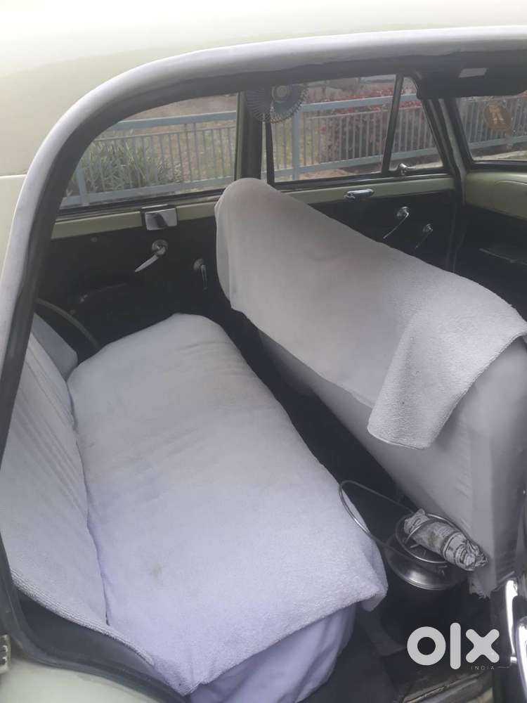 Fiey Premier Padamini