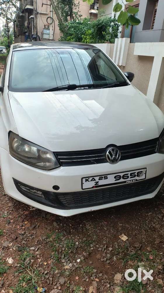 Polo For Sale