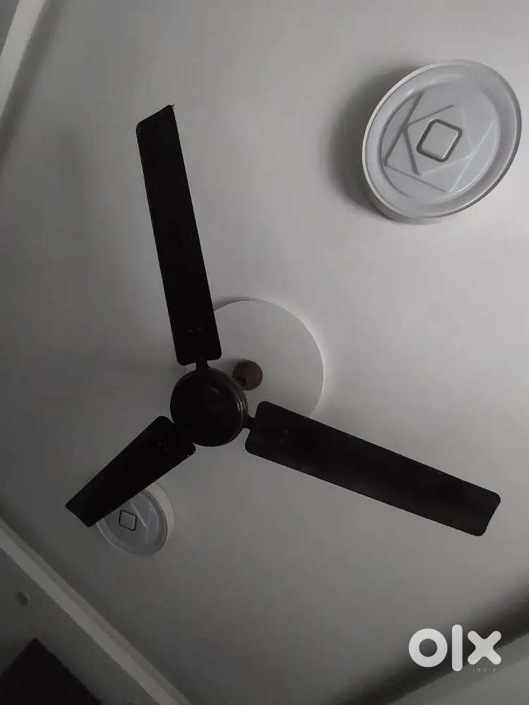 Ceiling Fan 3Nos