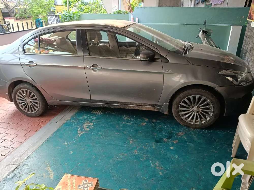 Maruti Suzuki Ciaz 2016 Diesel Manual Car Single Handed  Doctor Driven