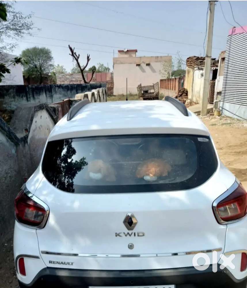 Renault Kwid 2018 Petrol 26000 Km Driven