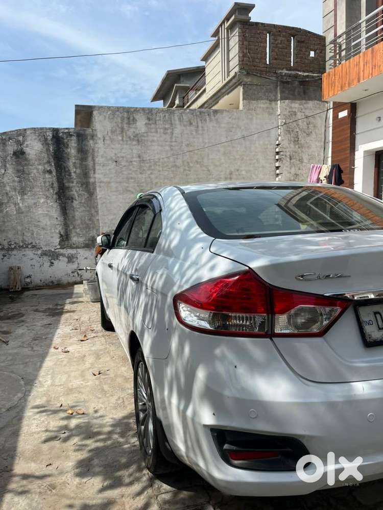 Maruti Suzuki Diesel 2017