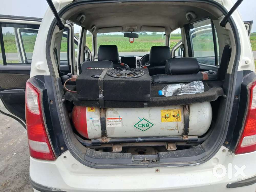 2013 Maruti Suzuki Wagon R Lxi Cng Optional