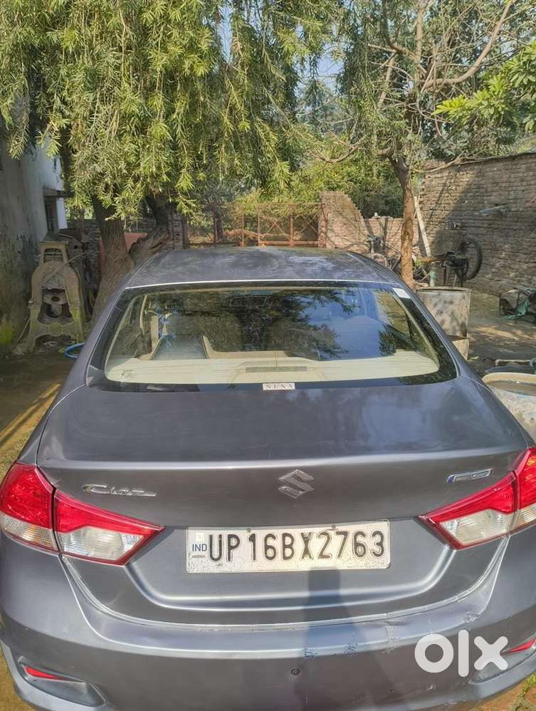 Maruti Suzuki Diesel 2019