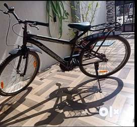 Bicycle second shop hand olx