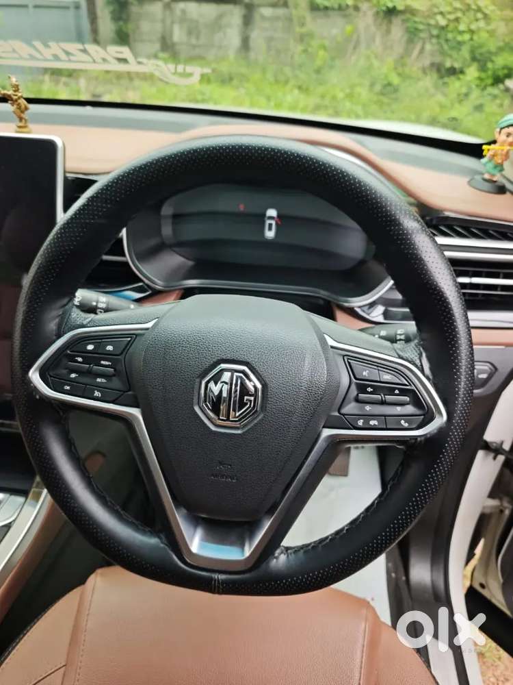 Mg Hector 2024 Petrol Well Maintained