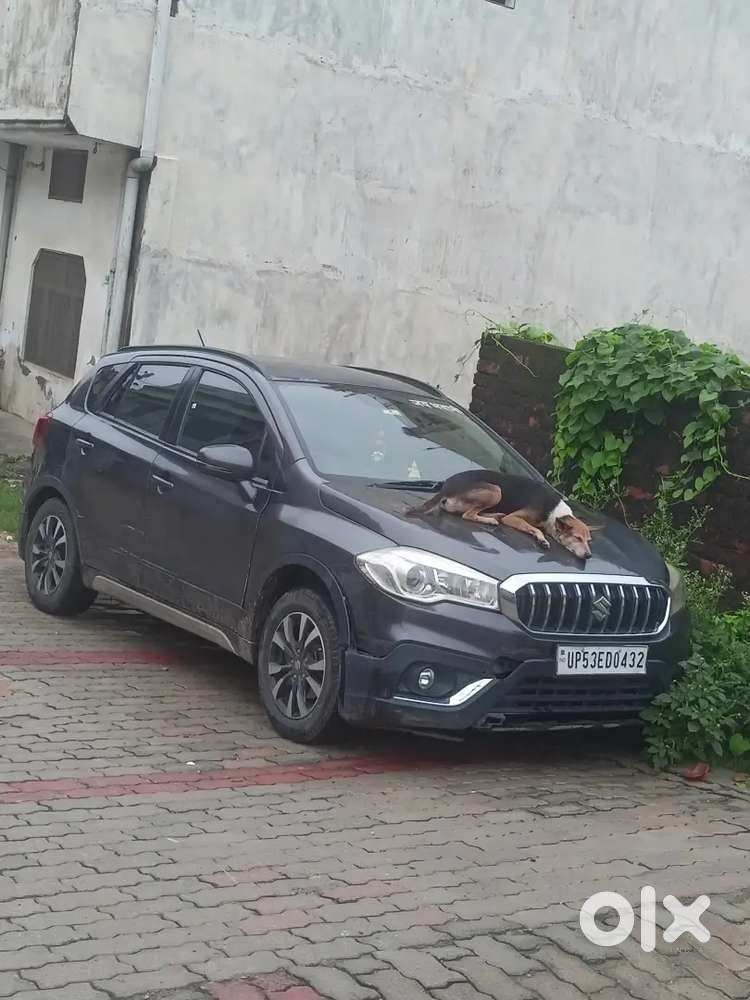 2nd Maruti Suzuki S-cross 2022 Petrol