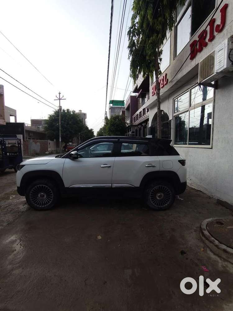 Maruti Suzuki Hybrid 2024