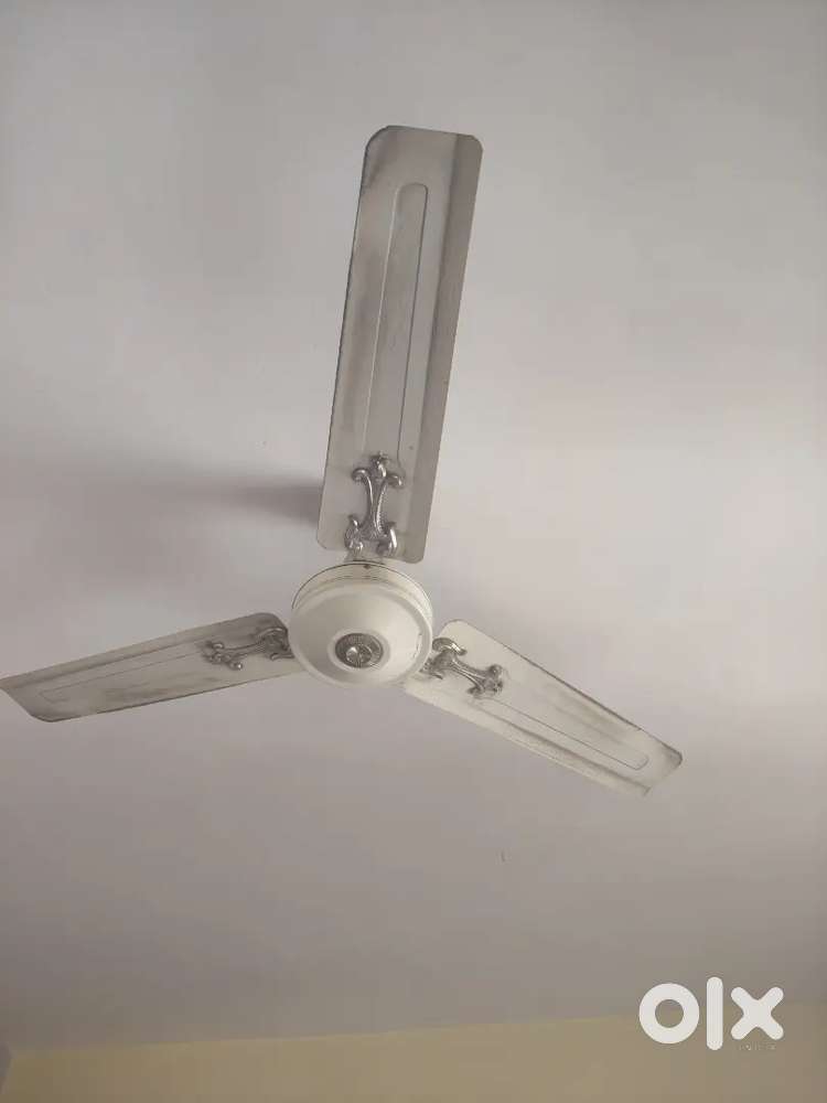 Ceiling Fan