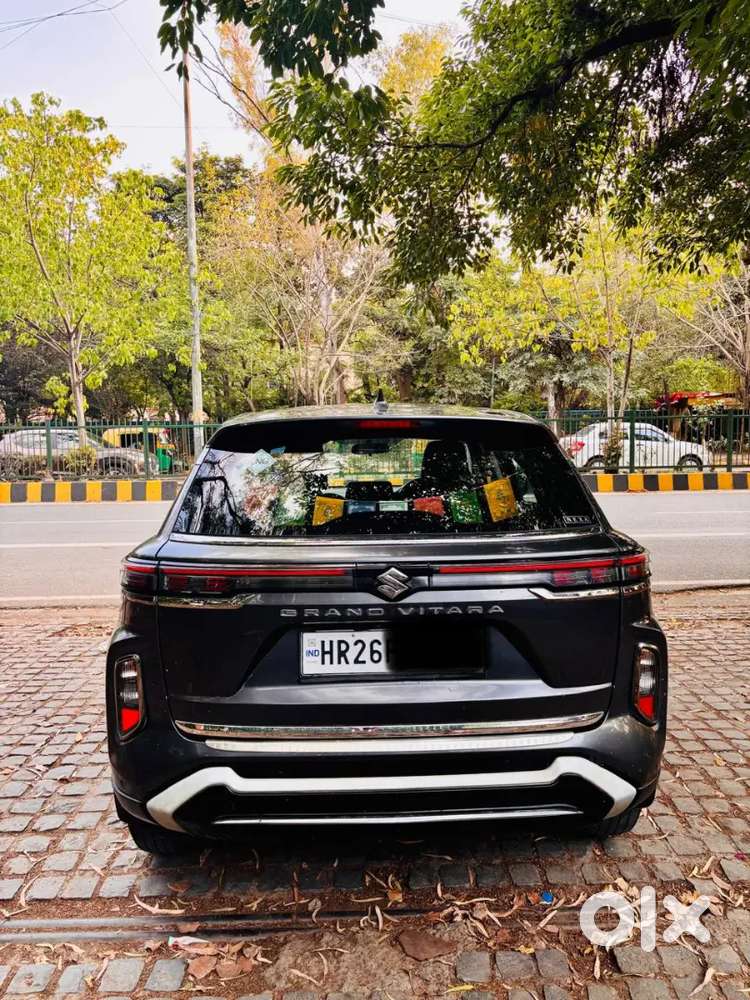 Grand Vitara Delta Cng 2024