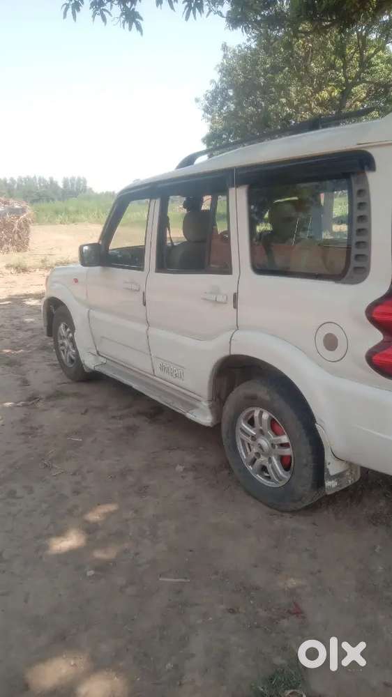 Ok Gadi H Insurance Puc Sab Complete H 4 Tayr Ok New Bitry
