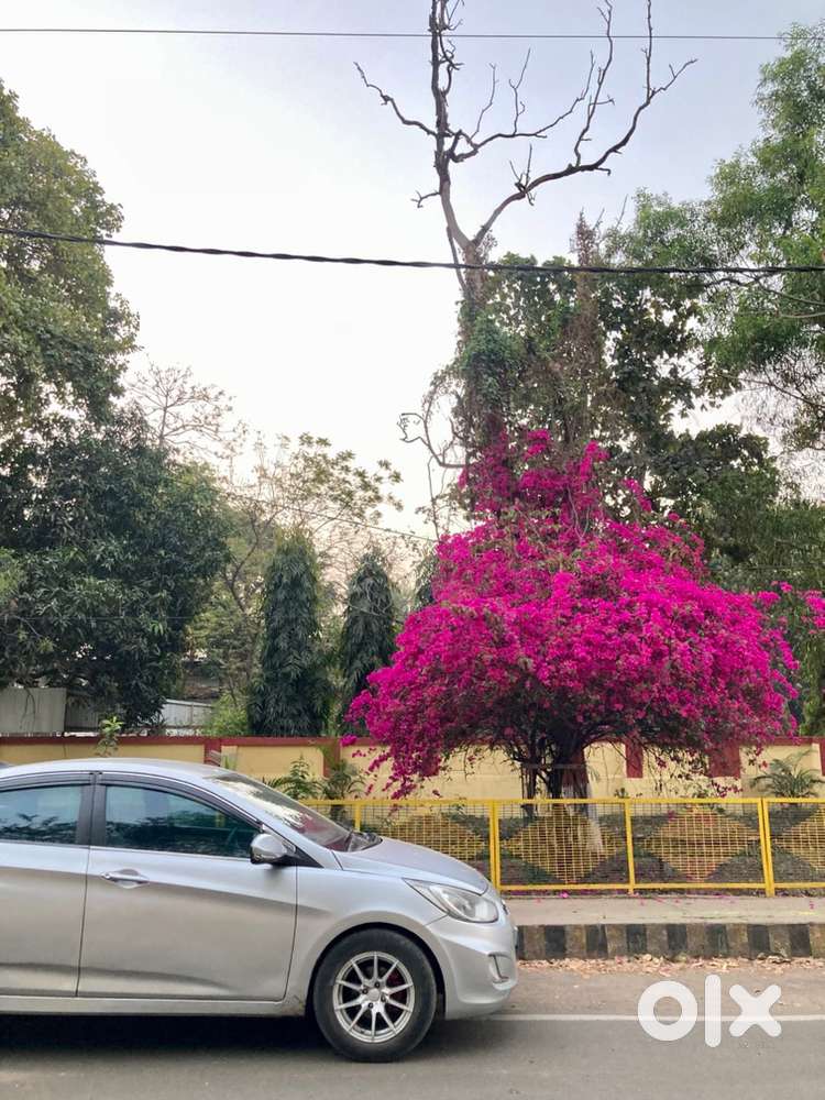 Hyundai Verna Tax 2031 Paid