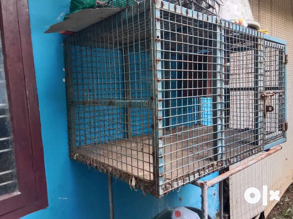 Dog cage price outlet olx