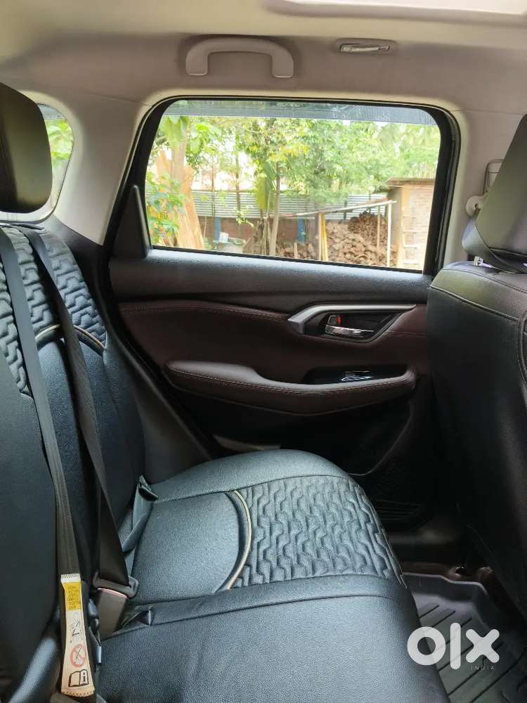 Maruti Suzuki Grand Vitara 2023 Petrol Well Maintained