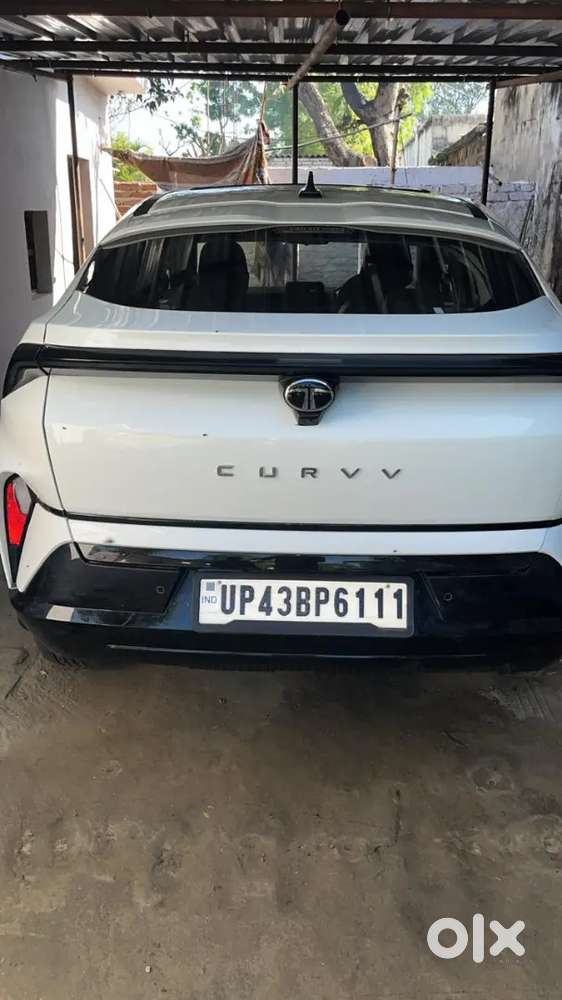 Tata Curvv 2025 Petrol 1650 Km Driven