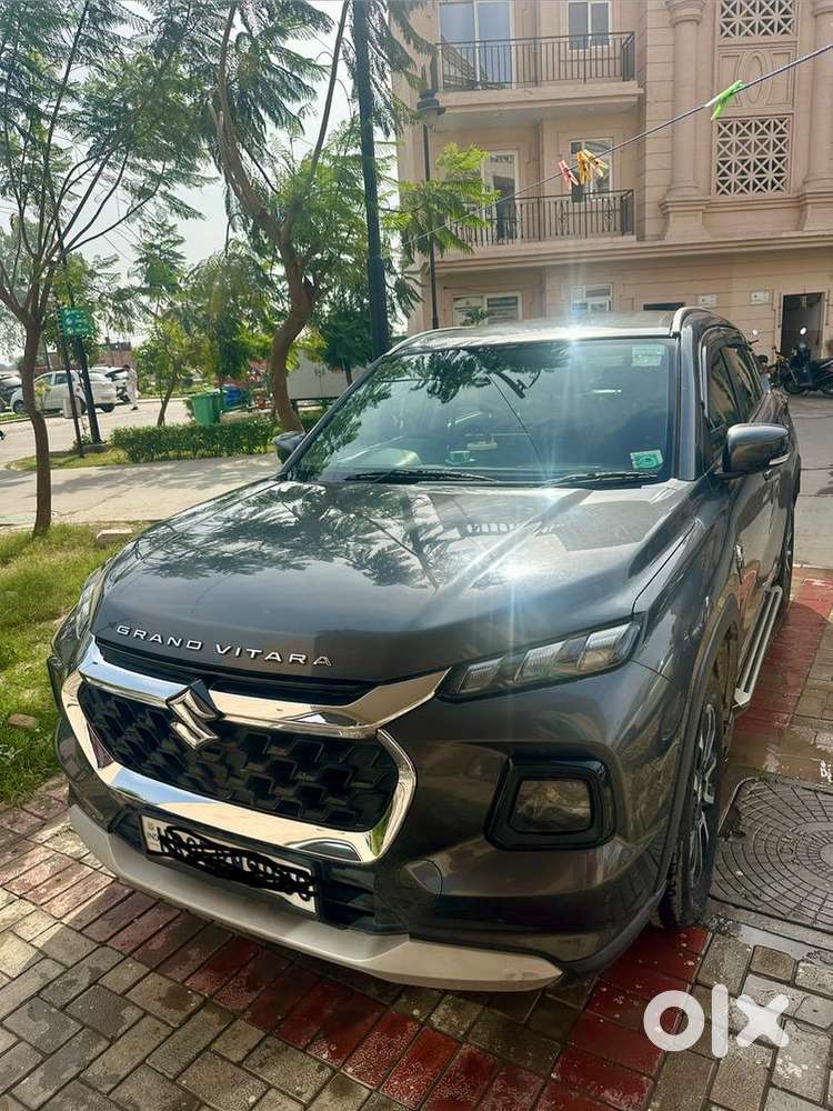 Maruti Suzuki Grand Vitara 2024 Petrol Well Maintained
