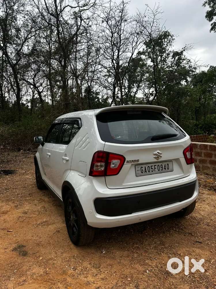 Maruti Suzuki Ignis 2019 Petrol Well Maintained