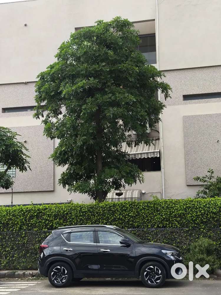 Kia Sonet 2025, 7½ Years Ppf Warrenty