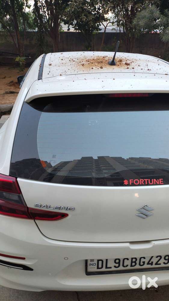 Maruti Suzuki Baleno Manufacturing Year August 2024
