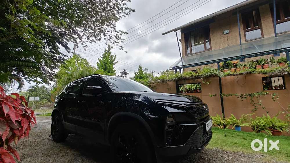 Tata Harrier 2024 Diesel Well Maintained