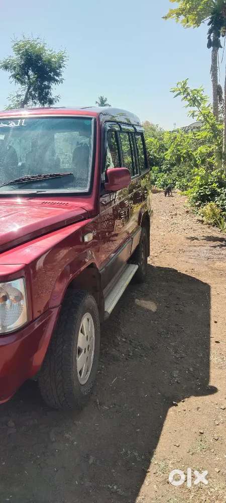 Sumo Victa
