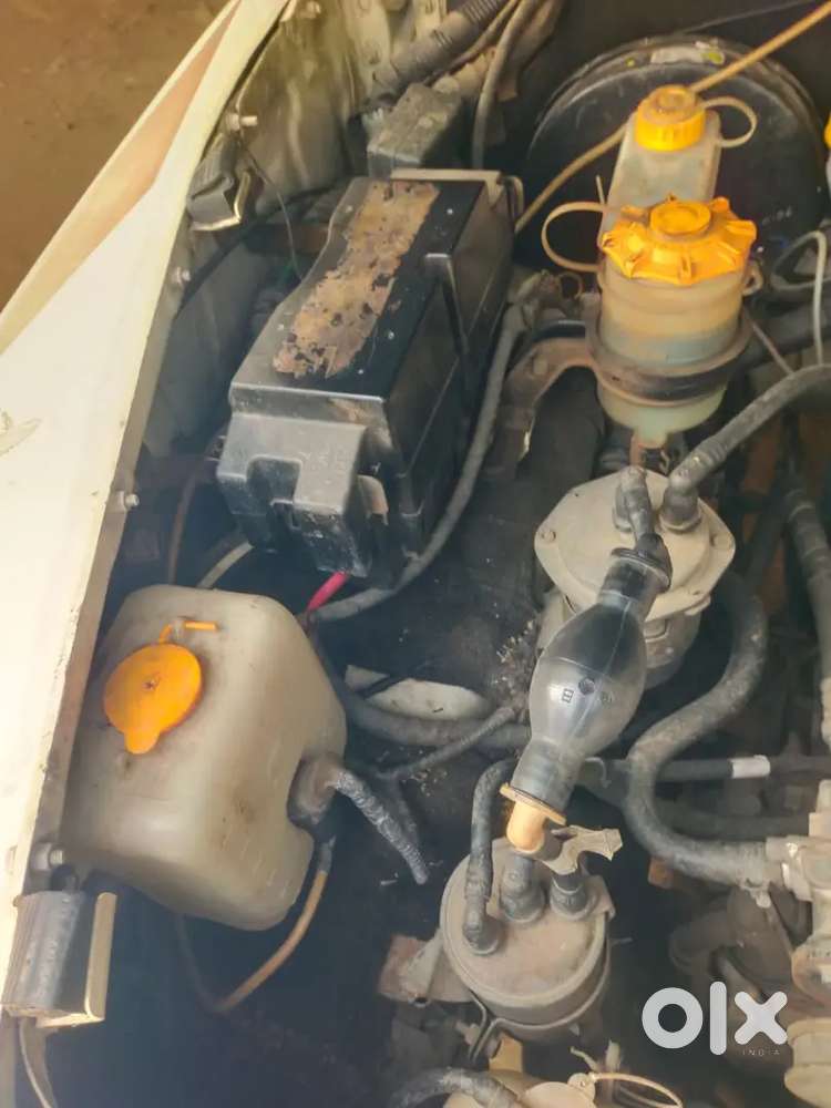 Sumo Gold Good Condition