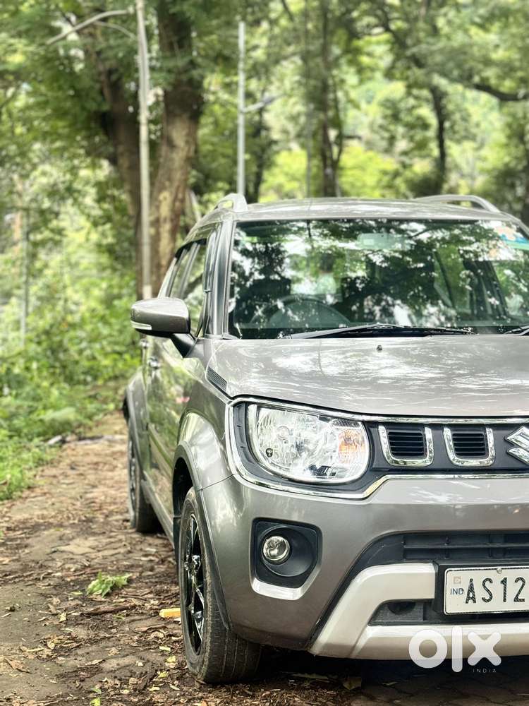 Maruti Suzuki Ignis 1.2 Delta Mt, 2023, Petrol