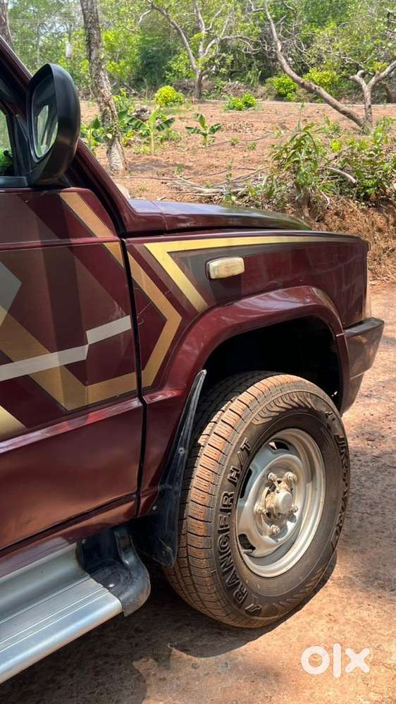 Sumo Gold Well Maintained