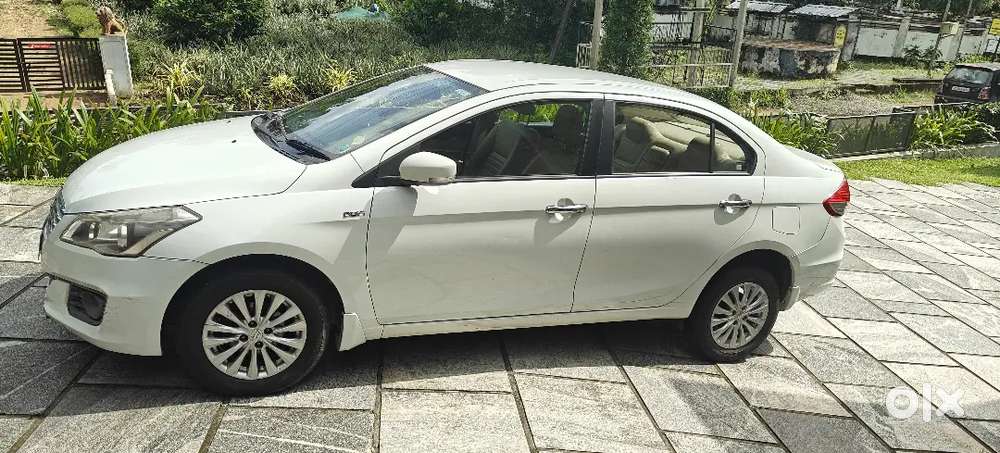 Maruti Suzuki Ciaz Zdi 2014 Diesel Car
