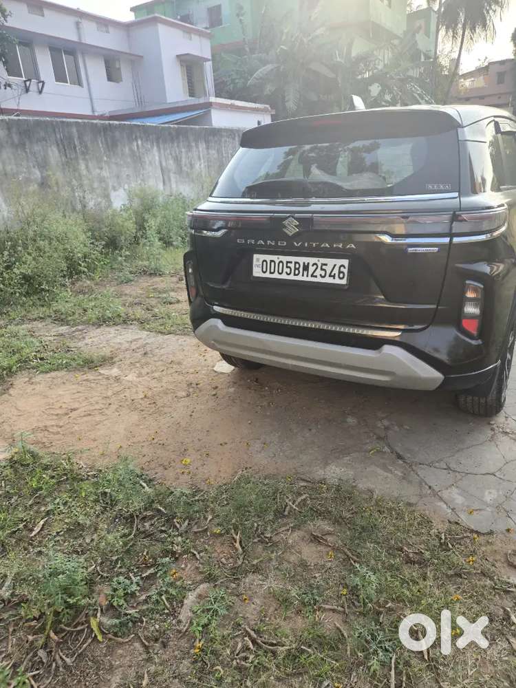 Model 2023 Jul Well Condition Single Hand Use