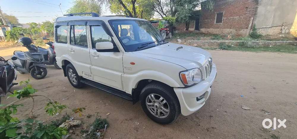 Scokripo 2014 Sale