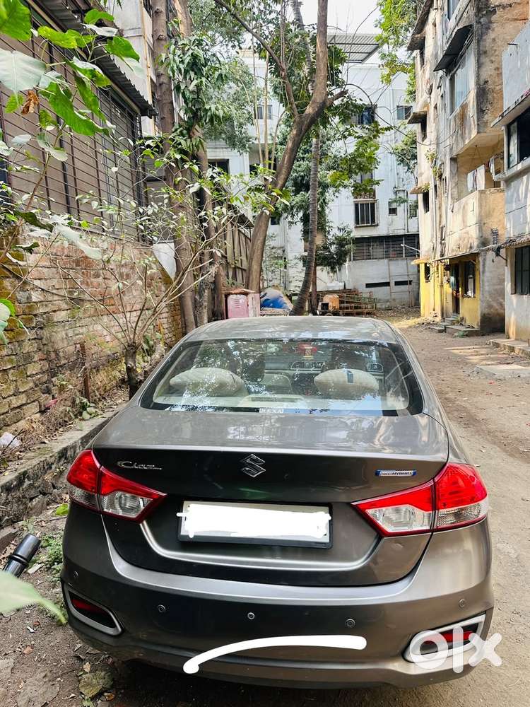 Ciaz Alpha