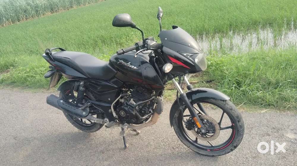 Bajaj Pulsar 125 2023 Model