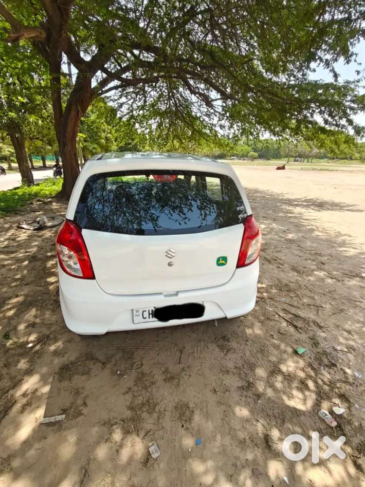 Alto 800 Car For Sale In Excellent Condition