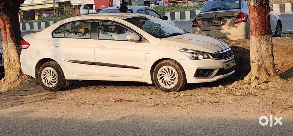 Maruti Suzuki Ciaz 2016 Diesel 1st Owner