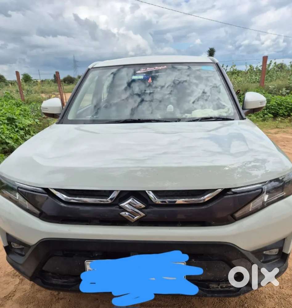 Bareja Car Orijnal Ek Dam