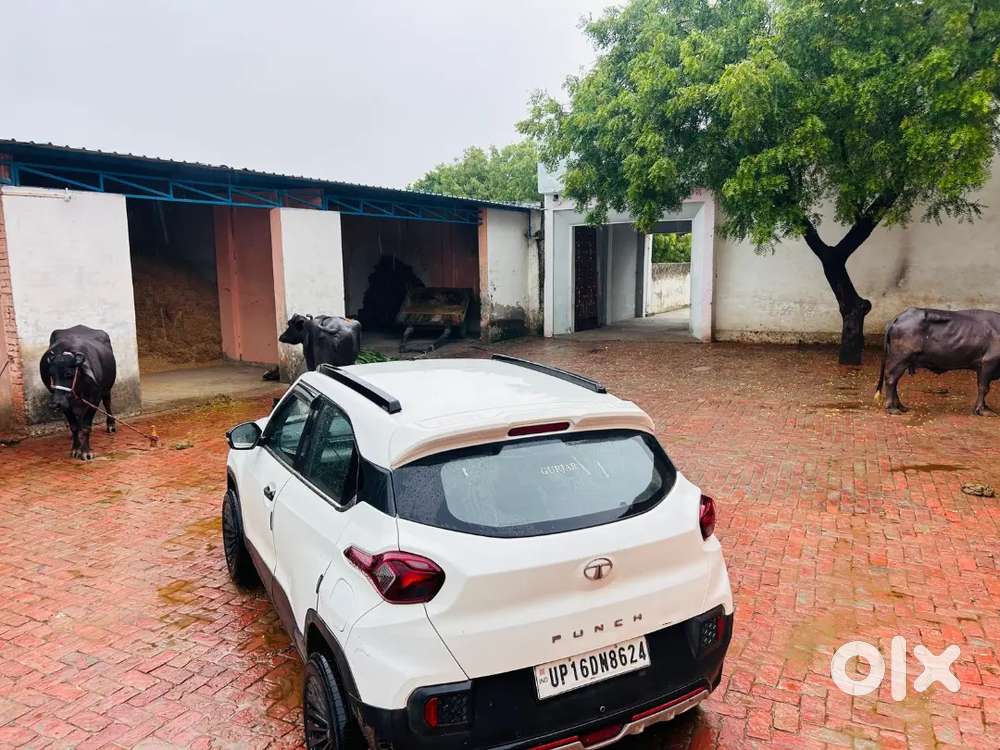 Tata Punch 2023 Cng +petrol