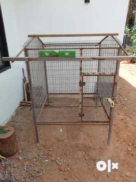 Dog 2024 crate olx