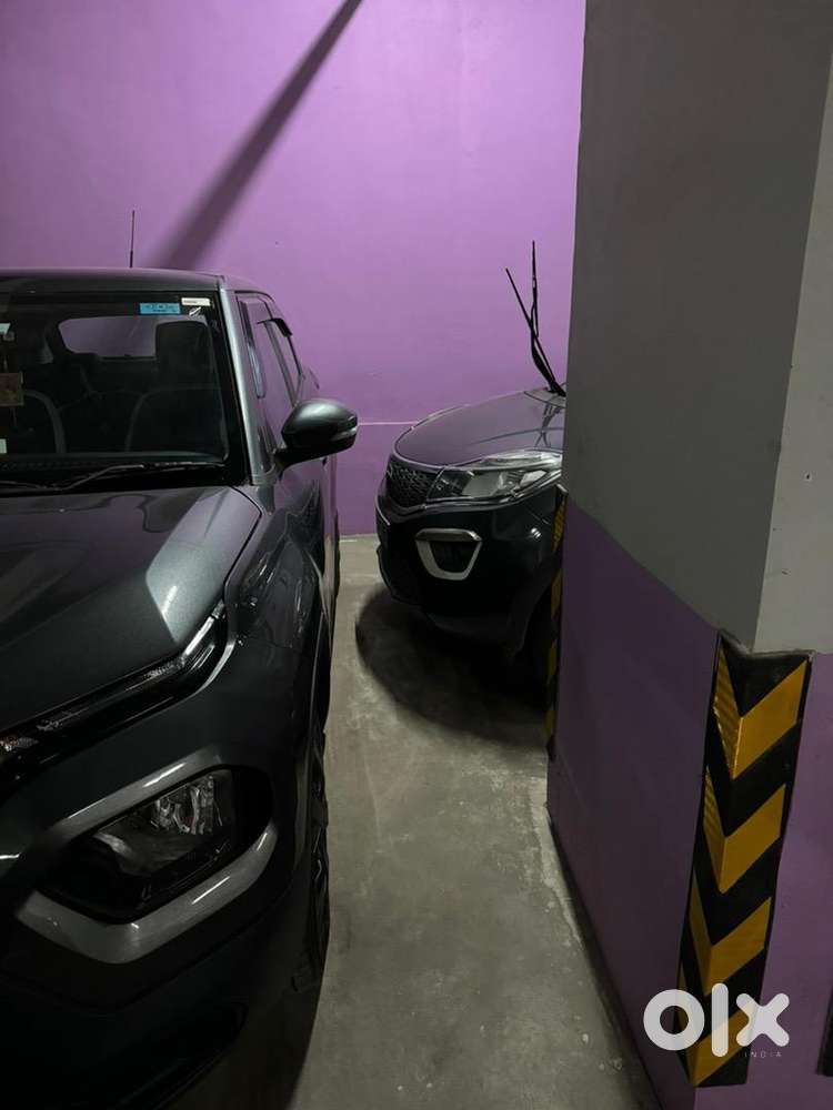 Tata Petrol Car 2024