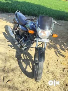Bajaj Platina in Malerkotla Free classifieds in Malerkotla OLX