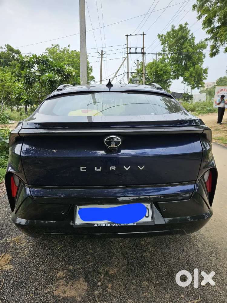 Tata Curvv 2025 Petrol Well Maintained