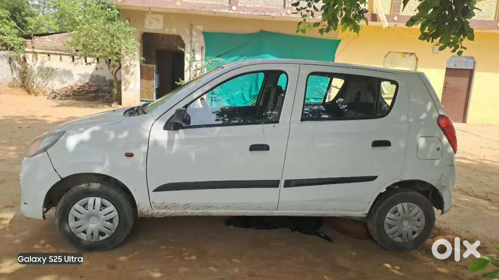 Alto 800 Modal 2017
