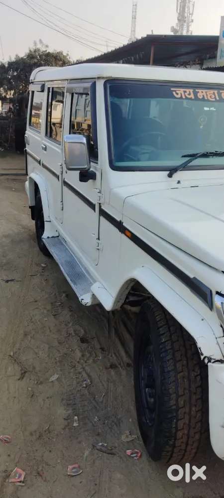 Bolero For Sale